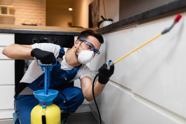 Best Affordable Pest Control Services  in Kalaeloa, HI
