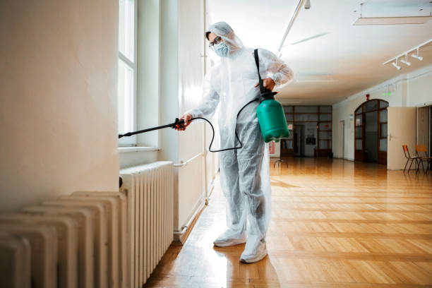 Best Flea Control Services  in Kalaeloa, HI